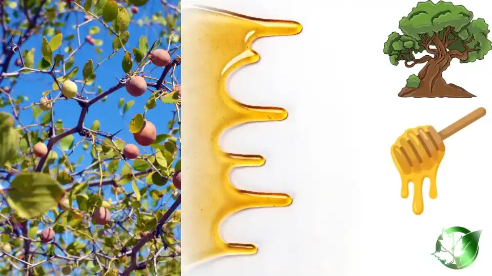 Sidr Honey quality, format, and packaging should be matched to the buyer’s target application.